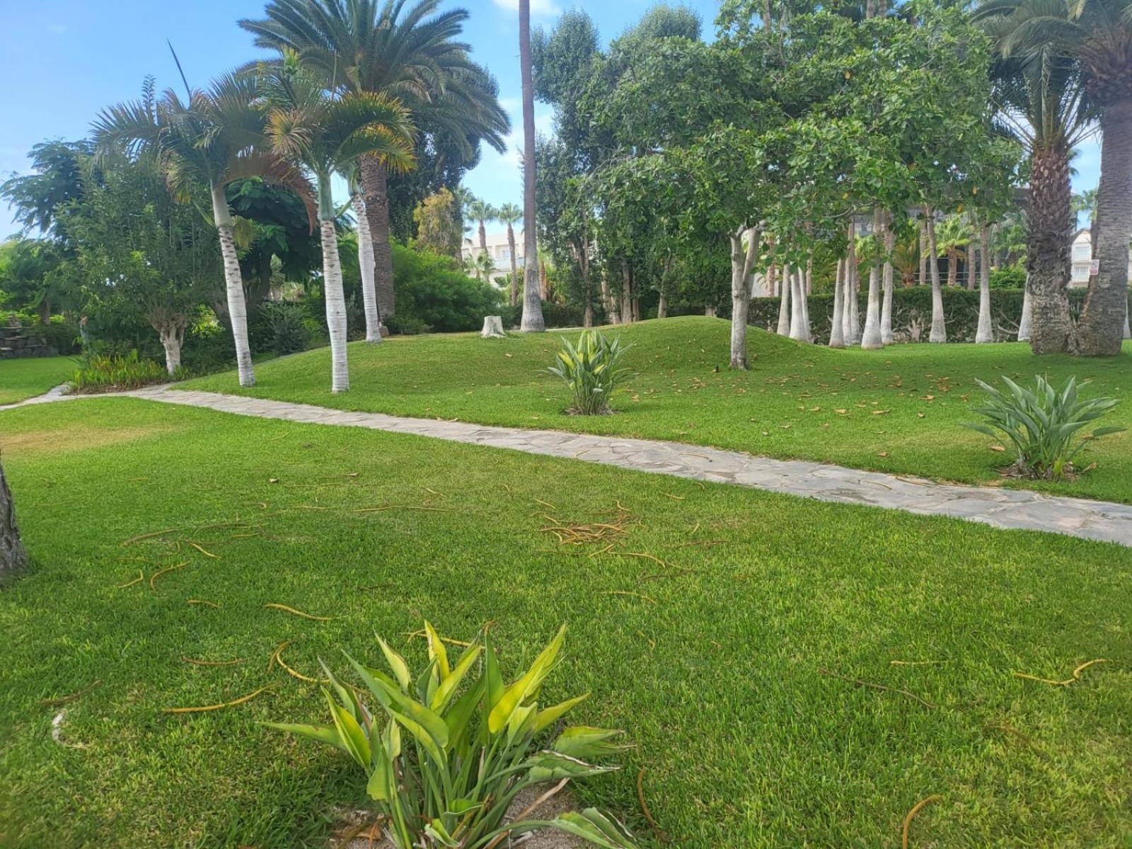 Maravillosa 2 Apartment